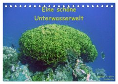 Eine schöne Unterwasserwelt (Tischkalender 2024 DIN A5 quer), CALVENDO Monatskalender