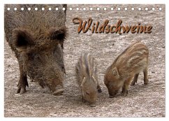 Wildschweine (Tischkalender 2024 DIN A5 quer), CALVENDO Monatskalender - Berg, Martina