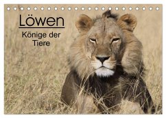 Löwen - Könige der Tiere (Tischkalender 2024 DIN A5 quer), CALVENDO Monatskalender