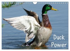 Duck Power (Wandkalender 2024 DIN A4 quer), CALVENDO Monatskalender