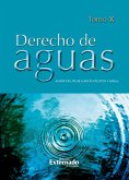 Derecho de aguas Tomo X (eBook, PDF)