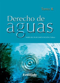 Cover Derecho de aguas Tomo X (eBook, PDF)