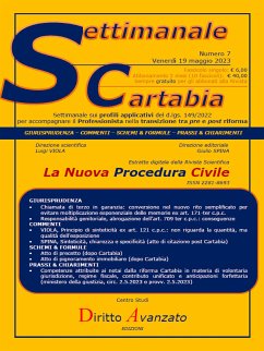 SETTIMANALE CARTABIA n. 7 - Venerdì 19.5.2023 (eBook, ePUB) - Spina, Giulio; Viola, Luigi