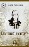 Камінний господар (eBook, ePUB)