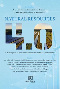 Cover Natural Resource 4.0 (eBook, ePUB)