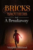 Bricks, Brothers, and A Breakaway (eBook, ePUB)