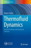 Thermofluid Dynamics (eBook, PDF)