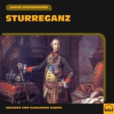 Sturreganz (MP3-Download)