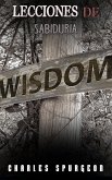 Lecciones de sabiduría (eBook, ePUB)