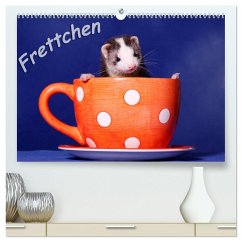Frettchen - Ferrets (hochwertiger Premium Wandkalender 2024 DIN A2 quer), Kunstdruck in Hochglanz - Hutfluss, Jeanette