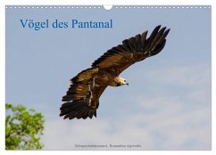 Vögel des Pantanal (Wandkalender 2024 DIN A3 quer), CALVENDO Monatskalender