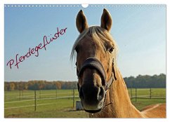 Pferdegeflüster (Wandkalender 2024 DIN A3 quer), CALVENDO Monatskalender
