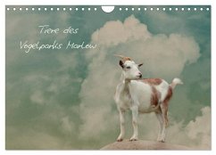 Tierkalender (Wandkalender 2024 DIN A4 quer), CALVENDO Monatskalender