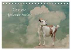 Tierkalender (Tischkalender 2024 DIN A5 quer), CALVENDO Monatskalender