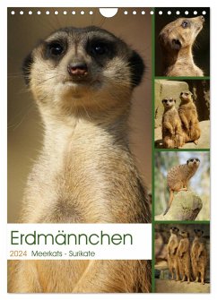 Erdmännchen-Meerkats-Surikate (Wandkalender 2024 DIN A4 hoch), CALVENDO Monatskalender