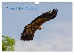 Vögel des Pantanal (Wandkalender 2024 DIN A4 quer), CALVENDO Monatskalender