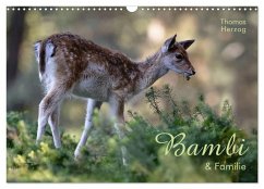 BAMBI & Familie (Wandkalender 2024 DIN A3 quer), CALVENDO Monatskalender