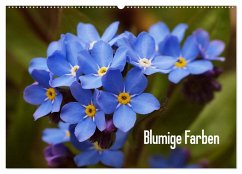 Blumige Farben (Wandkalender 2024 DIN A2 quer), CALVENDO Monatskalender