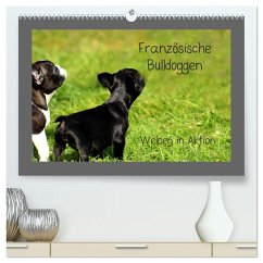 Französische Bulldoggen (hochwertiger Premium Wandkalender 2024 DIN A2 quer), Kunstdruck in Hochglanz - Hultsch, Heike
