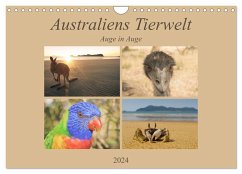 Australiens Tierwelt - Auge in Auge (Wandkalender 2024 DIN A4 quer), CALVENDO Monatskalender