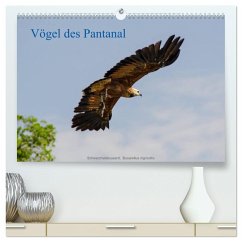 Vögel des Pantanal (hochwertiger Premium Wandkalender 2024 DIN A2 quer), Kunstdruck in Hochglanz