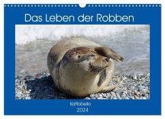 Das Leben der Robben (Wandkalender 2024 DIN A3 quer), CALVENDO Monatskalender - Kattobello