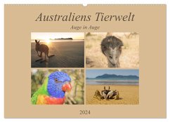 Australiens Tierwelt - Auge in Auge (Wandkalender 2024 DIN A2 quer), CALVENDO Monatskalender