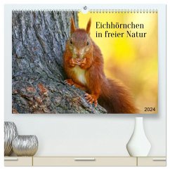 Eichhörnchen in freier Natur (hochwertiger Premium Wandkalender 2024 DIN A2 quer), Kunstdruck in Hochglanz