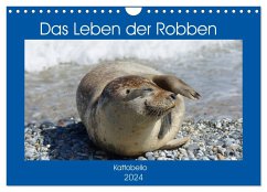 Das Leben der Robben (Wandkalender 2024 DIN A4 quer), CALVENDO Monatskalender - Kattobello