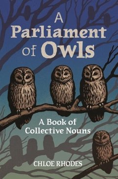 A Parliament of Owls - Rhodes, Chloe