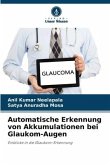 Automatische Erkennung von Akkumulationen bei Glaukom-Augen