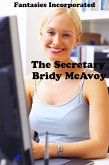 Fantasies Incorporated - The Secretary (eBook, ePUB) Fantasies Incorporated - The Secretary (eBook, ePUB)