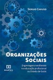 Organizações Sociais (eBook, ePUB)