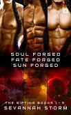 The Gifting Series 1 - 3 (eBook, ePUB) The Gifting Series 1 - 3 (eBook, ePUB)