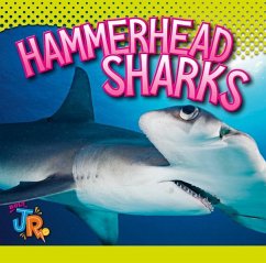 Hammerhead Sharks - Storm, Marysa