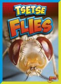 Tsetse Flies