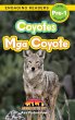Coyotes - Bild 1