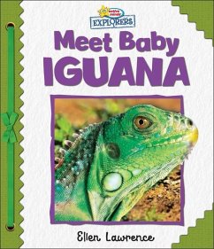 Active Minds Explorers: Meet Baby Iguana - Lawrence, Ellen