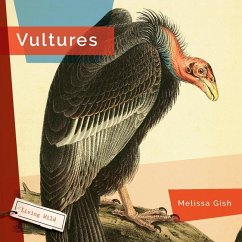 Vultures - Gish, Melissa