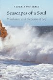 Seascapes of a Soul