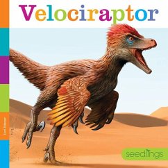 Velociraptor - Dittmer, Lori