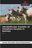 Intrafollicular transfer of immature oocytes in bovines