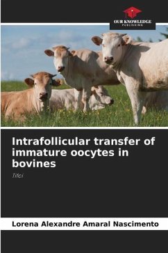 Intrafollicular transfer of immature oocytes in bovines - Amaral Nascimento, Lorena Alexandre