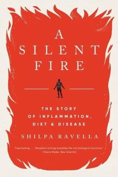 A Silent Fire - Ravella, Shilpa