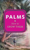 Palms & How to Grow Them