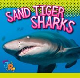 Sand Tiger Sharks