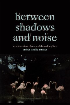 Between Shadows and Noise - Musser, Amber Jamilla