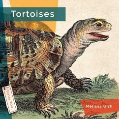 Tortoises - Gish, Melissa