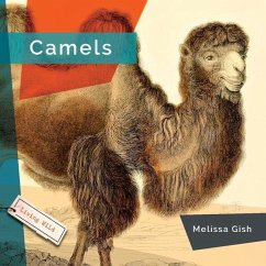 Camels - Gish, Melissa