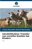 Intrafollikulärer Transfer von unreifen Eizellen bei Rindern